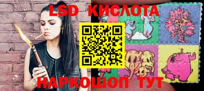 гашик Лесосибирск