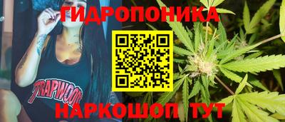 гашик Лесосибирск