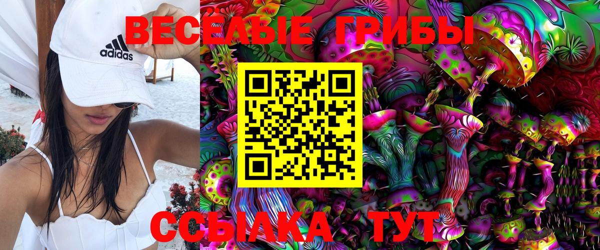 Псилоцибиновые грибы Psilocybe Когалым